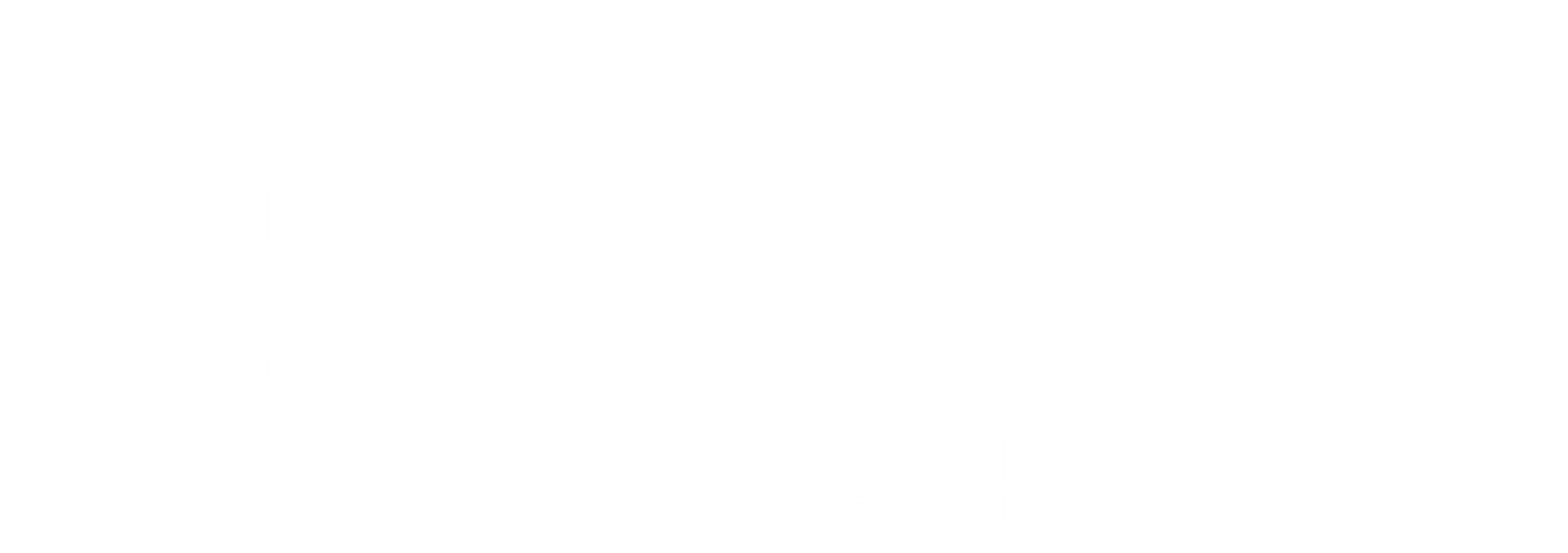 Logo Ness Hair&Spa