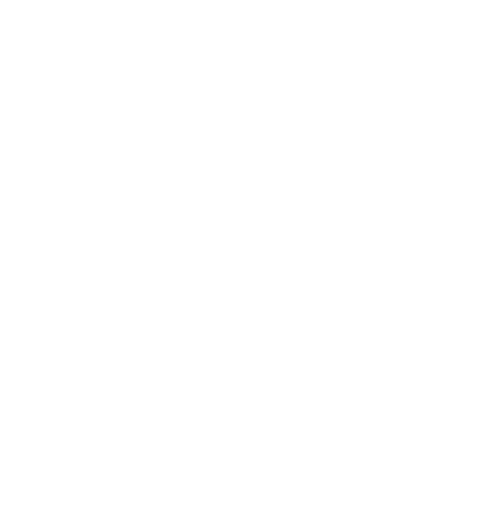 Logo Ness Hair & Spa